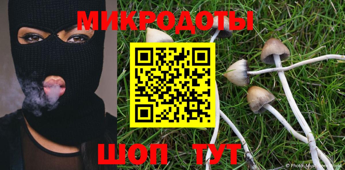 Галлюциногенные грибы Cubensis  Вход с VPN  Жигулёвск 